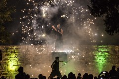 Feuervariete-Steinbuehne